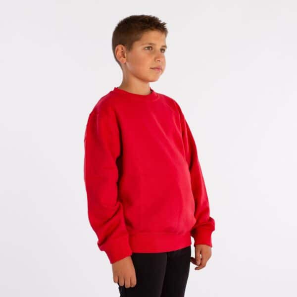 SUDADERA SOFTEE OWEN INFANTIL - ROJO, 4 AÑOS - Imagen 3