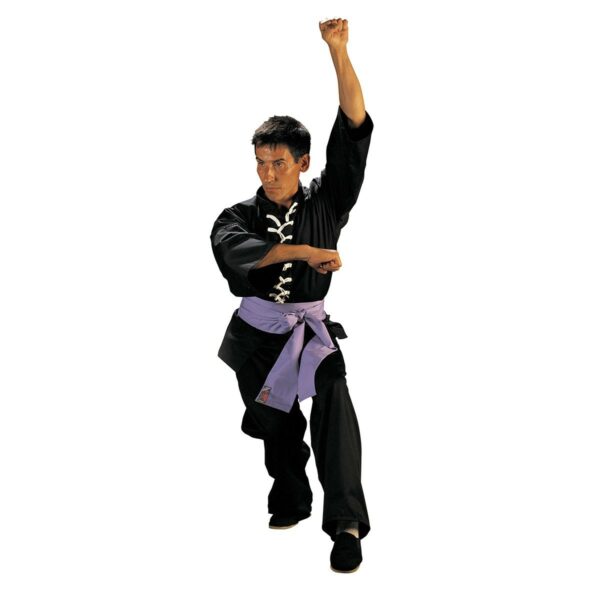 Traje Kung Fu Wu Shu. 6 - Imagen 3
