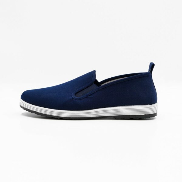 Zapatillas Chinas Zhèngzhí. Azul. 41 - Imagen 2