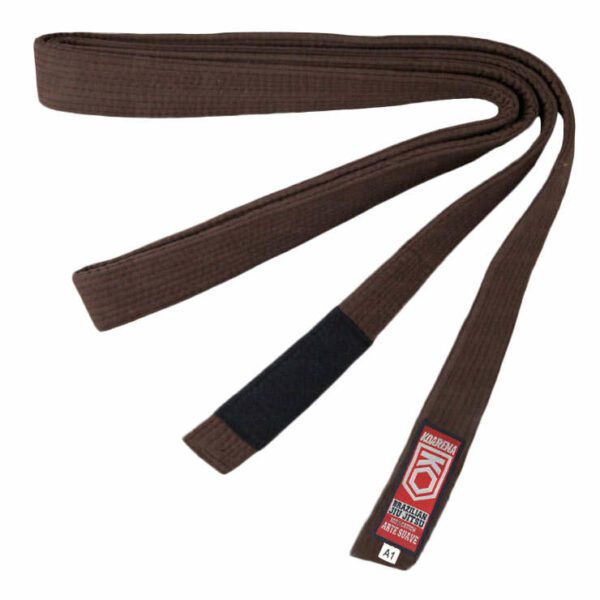 Cinturones Brazilian Jiu Jitsu BJJ - Imagen 3