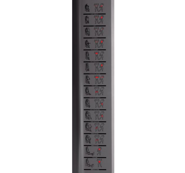 Multiestación BH G112X Multigym Plus - Imagen 3