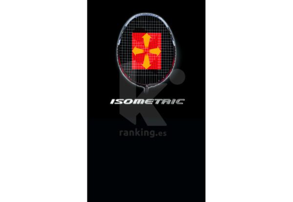 RAQUETA BADMINTON YONEX ESCOLAR AVANZADOS - Imagen 3