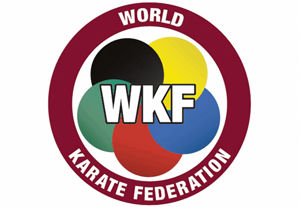 TATAMI OFICIAL WKF KARATE 100 X 100 X 2 CM - Imagen 4