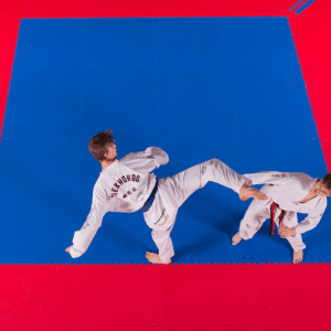 TATAMI TAEKWONDO OFICIAL 100 X 100 X 2,2 CM