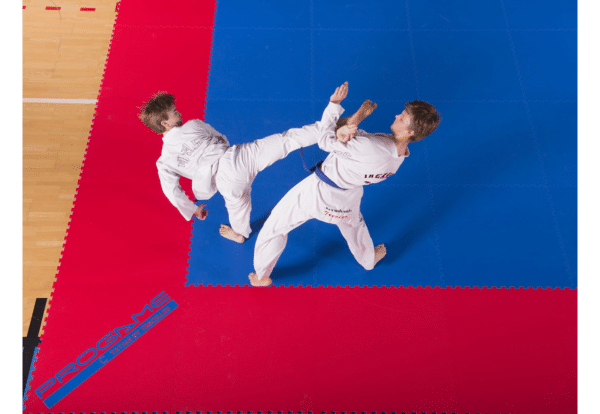 TATAMI TAEKWONDO OFICIAL 100 X 100 X 2,2 CM - Imagen 4