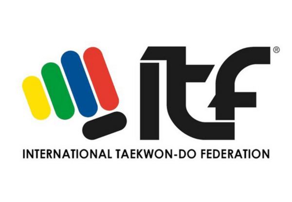 TATAMI TAEKWONDO OFICIAL 100 X 100 X 2,2 CM - Imagen 3