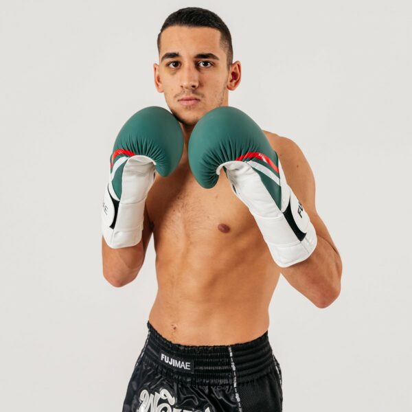 GUANTES BOXEO PROSERIES 2.0 PIEL portes gratis - Imagen 2