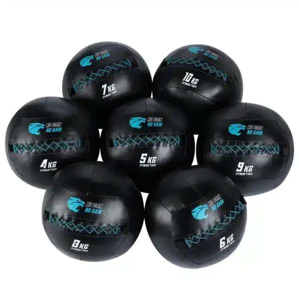 WALL BALL PREMIUM FT BALON MEDICINAL DE 3 A 14 KG