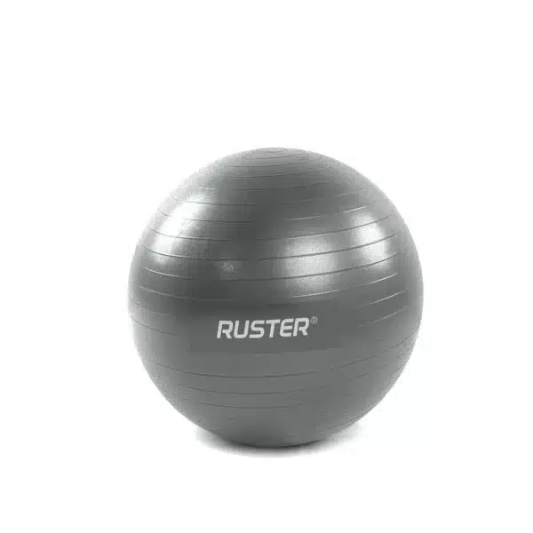Gymball PELOTA GIGANTE