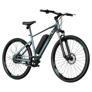 BICICLETA ELECTRICA