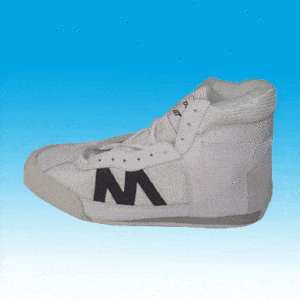Botas de esgrima Do-Win G-DW-02