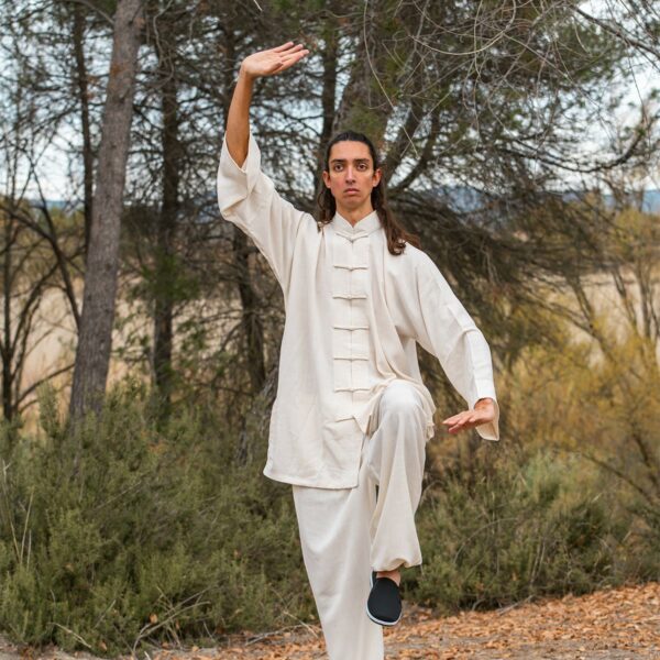 Pantalón Kung Fu Lino GRIS - Imagen 12
