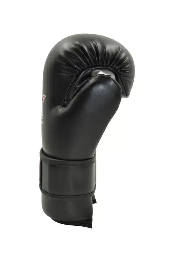 GUANTES POINTFIGHTNING NEGROS PX TAEKWONDO - Imagen 2