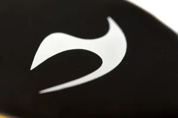 FOCUS MITTS CURVOS JUSPORTS - Imagen 10