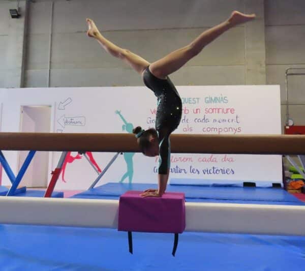 Ensachador de barra de equilibrio - Imagen 3