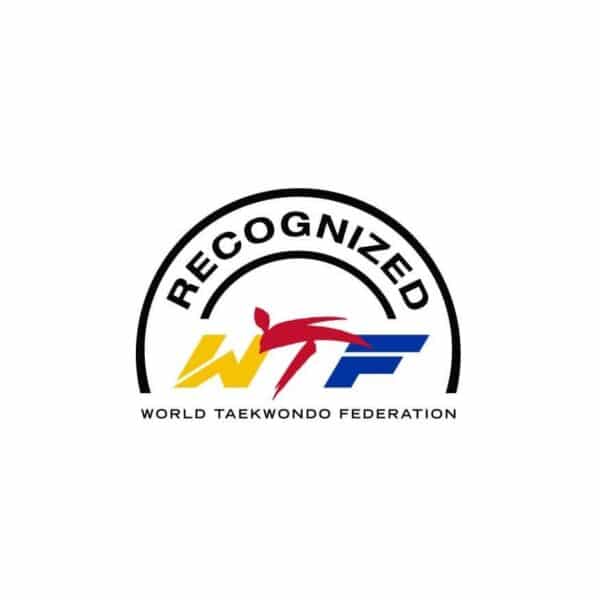CASCO ELECTRONICO TKD KP&P TAEKWONDO - Imagen 2