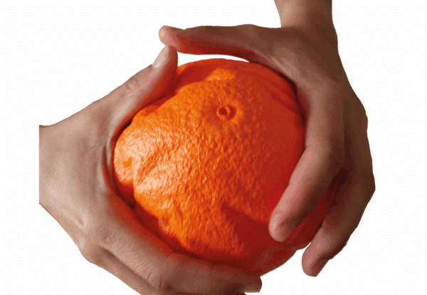 PELOTA KIDS TECNIC SKIN - MINI SOFT Ø90 MM - Imagen 3