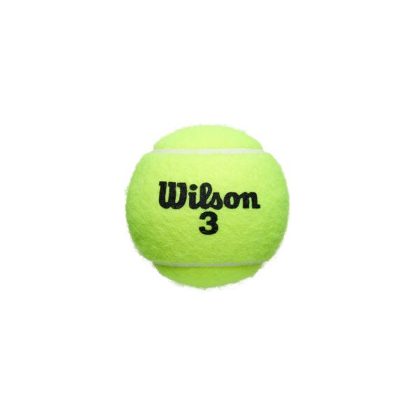 BOTE 3 PELOTAS TENIS WILSON ROLAND GARROS ALL - Imagen 4