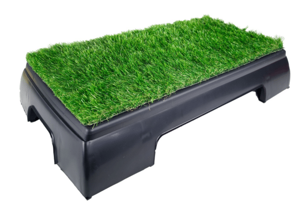Step Club Ranking con hierba artificial