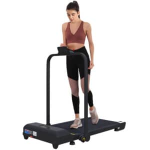 Cinta de Correr Cinta de Andar Plegable 2,5 HP con Pantalla LED Velocidad Ajustable Max. 10 km/h Control Remoto Negro