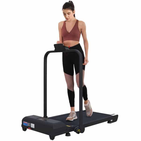Cinta de Correr Cinta de Andar Plegable 2,5 HP con Pantalla LED Velocidad Ajustable Max. 10 km/h Control Remoto Negro