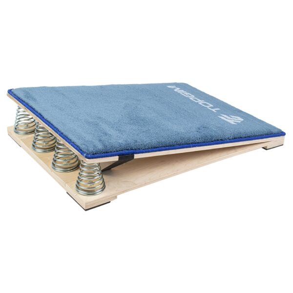 TRAMPOLÍN REHUTER TOPGIM BÁSICO GIMNASIO - Imagen 2