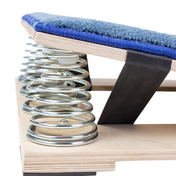 TRAMPOLÍN REHUTER TOPGIM BÁSICO GIMNASIO - Imagen 5