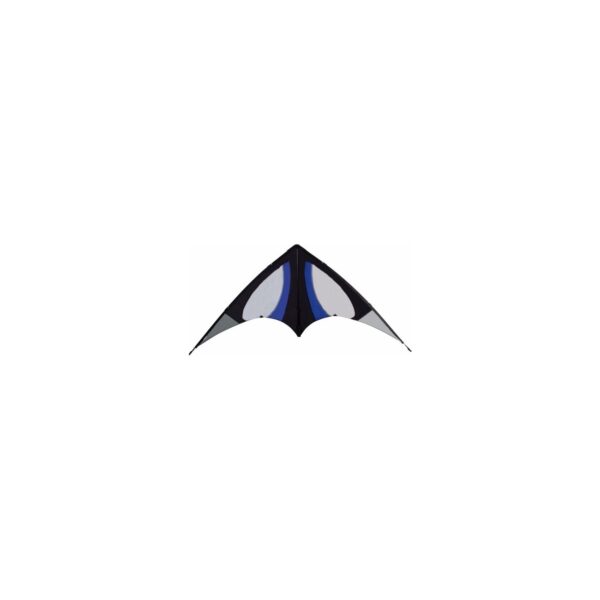 Cometa Gaviota