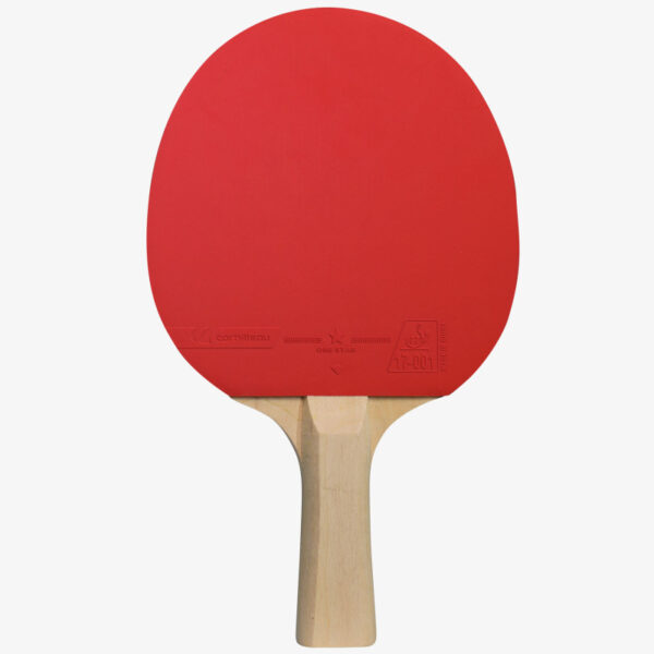 Family park indoor raqueta ping pong   CORNILLEAU Family Pack Indoor CONSTA 4 RAQUETAS,BOLAS Y FUNDA MESA INTERIOR, - Imagen 4